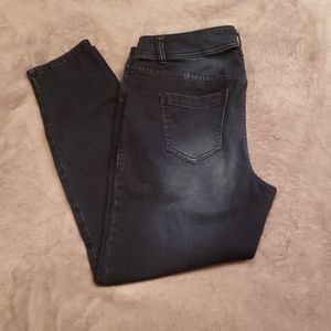 Lane Bryant Stretch Jeans